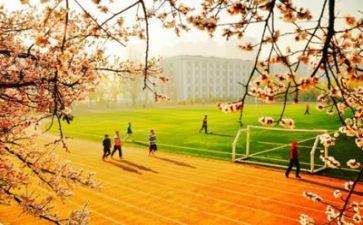 学校管理的自查报告精选7篇