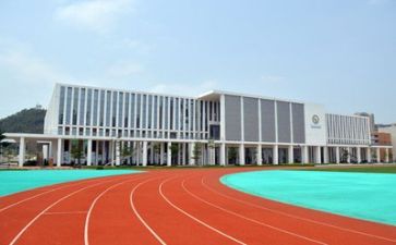 2024年学校年度总结模板5篇
