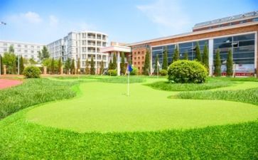 个人向学校的述职报告模板8篇