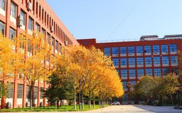 中心学校安全工作计划7篇