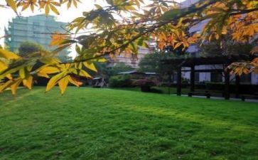 学校个人自我鉴定6篇