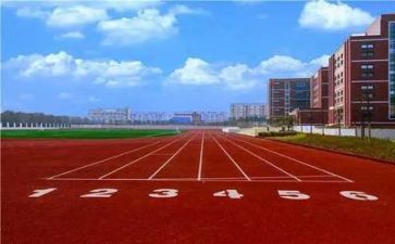学校管理个人总结8篇