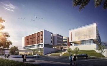 学校年终个人述职报告范文5篇