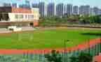 2024年学校个人年终工作总结8篇