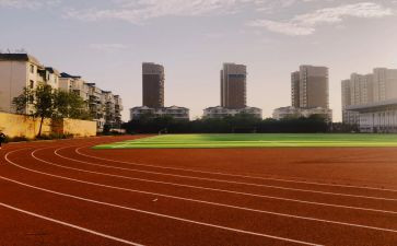 学校体育教师年度工作总结6篇