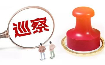 巡察中述职报告7篇