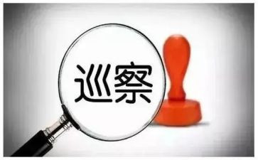 村巡察汇报材料5篇
