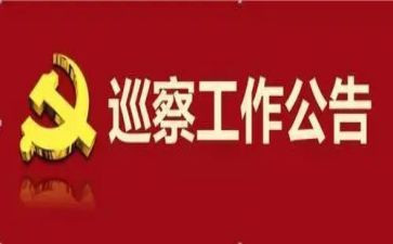 巡察述职述廉个人报告5篇