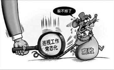 巡查报告总结8篇