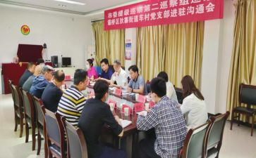 县巡察办工作总结6篇