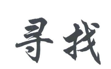寻访活动总结5篇