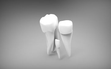 大班掉牙齿教案最新8篇