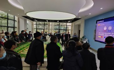 2.0网络研修计划最新7篇