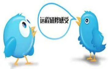 教师网络培训研修总结7篇