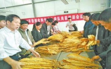 检验员工作总结个人总结8篇