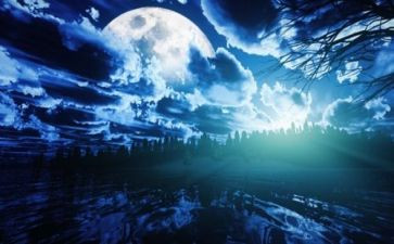 《白夜行》读后感6篇