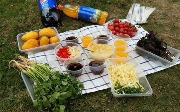 野炊的作文推荐8篇