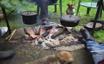 野炊的作文参考6篇