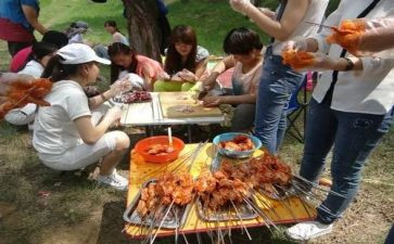 野炊的作文精选6篇