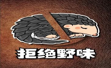 写拒绝野味的演讲稿7篇