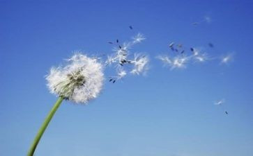 义务教育艺术课程标准2024心得体会6篇