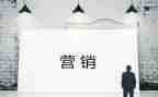 营销类工作总结模板5篇