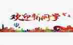 小学2024迎新年活动方案6篇