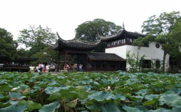 元旦游园活动方案模板5篇