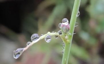 雨来小英雄演讲稿5篇