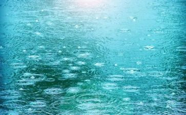 幼儿园中班雨教案6篇
