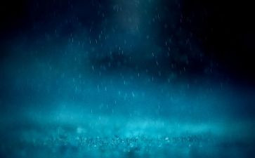 梨花雨作文8篇