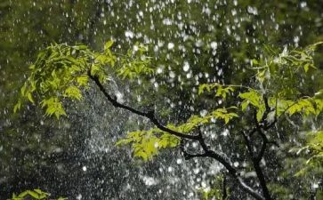 雨课堂调研报告8篇