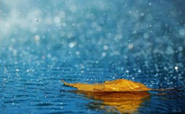 以雨为话题的演讲稿6篇