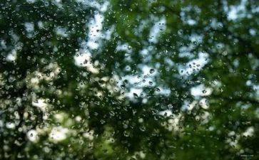 小班《春雨》教案5篇