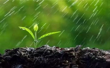 小雨点教案8篇