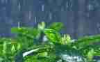 小英雄,雨来的读后感通用5篇