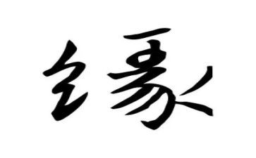 34街奇缘观后感参考5篇