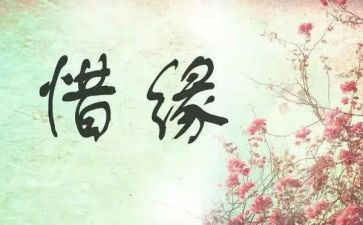 34街奇缘观后感最新5篇