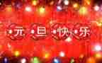 元旦节主题活动教案8篇