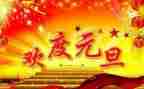 中班幼儿元旦活动总结5篇