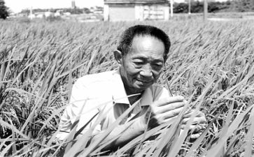 关于袁隆平作文8篇