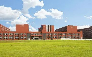 高等院校登记表自我鉴定8篇