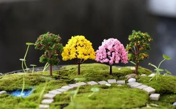 校园艺术的作文5篇