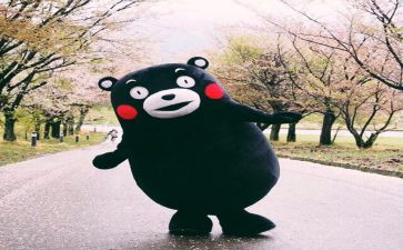 成功喜悦的作文优质5篇