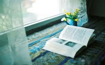 碎片话阅读作文推荐6篇