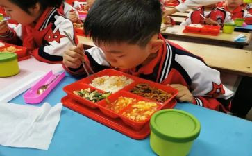 大学生在校的自我鉴定精选6篇