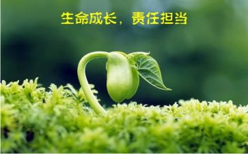 爱是一种责任作文6篇
