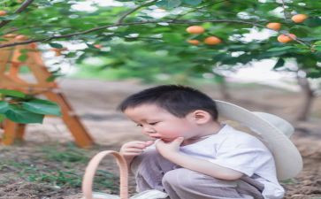小刺猬摘果子教案6篇