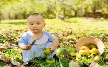 摘果子小班教案6篇