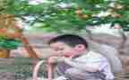 小刺猬摘果子教案6篇